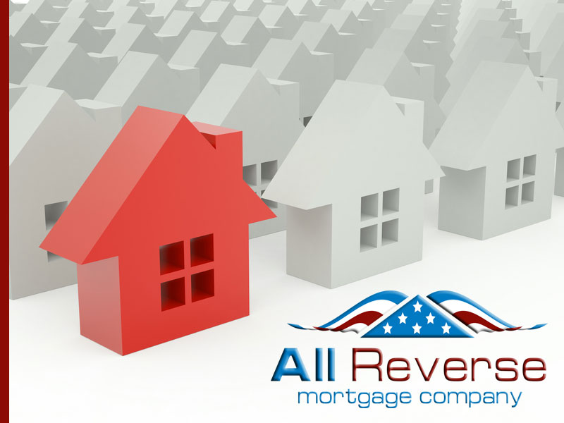 One Reverse Mortgage You Can Afford