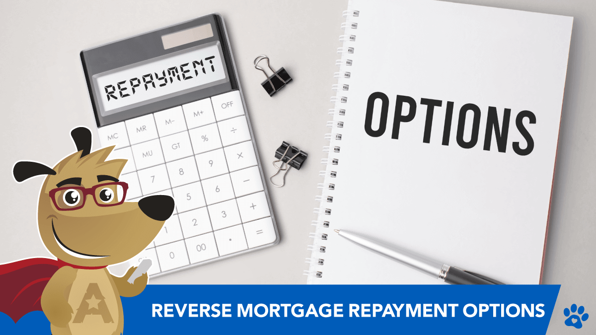 Reverse mortgage interest repayment options explained
